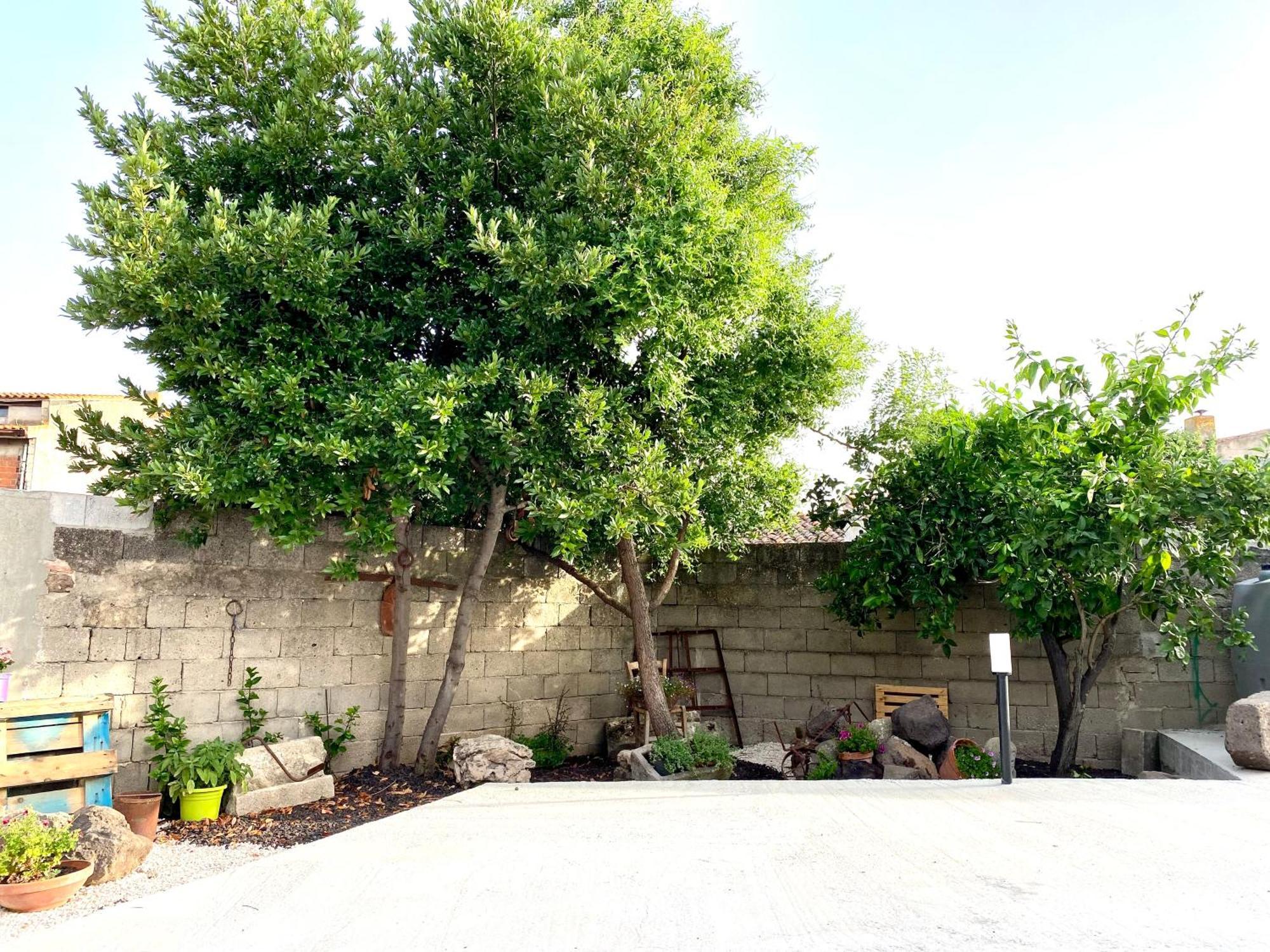 Casa Meli Appartement San Vero Milis Buitenkant foto